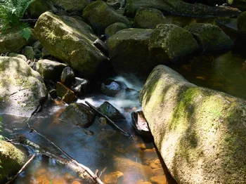 Long exposure of brook running through rocks.jpg